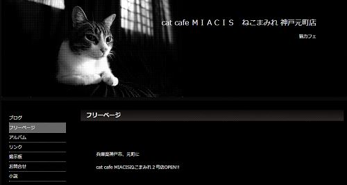 cat cafe MIACIS ねこまみれ 神戸元町店