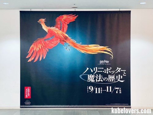 兵庫県立美術館の特別展 ハリー ポッターと魔法の歴史に行ってきた 神戸lovers