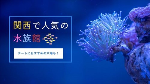 関西の水族館人気ランキング7選 デートにおすすめの穴場も 神戸lovers