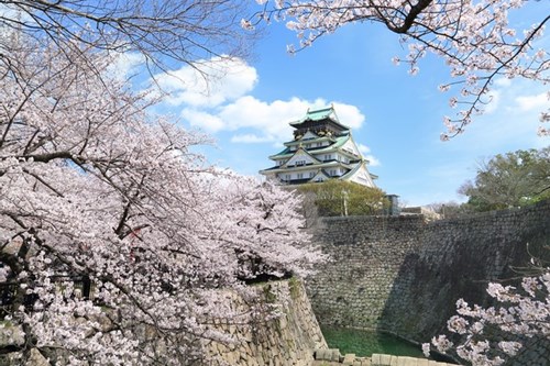 大阪府で人気のお花見スポット・桜名所
