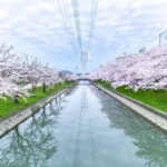 兵庫県で人気の桜名所・お花見スポット