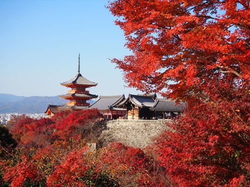 京都で秋におすすめのデートスポット